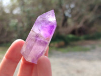 Polished Window Amethyst Crystals x 12 From Madagascar