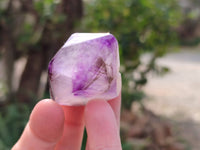Polished Window Amethyst Crystals x 12 From Madagascar