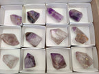 Polished Window Amethyst Crystals x 12 From Madagascar - Toprock Gemstones and Minerals 