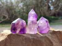 Polished Window Amethyst Crystals x 12 From Madagascar