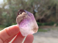 Polished Window Amethyst Crystals x 12 From Madagascar