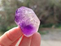 Polished Window Amethyst Crystals x 12 From Madagascar