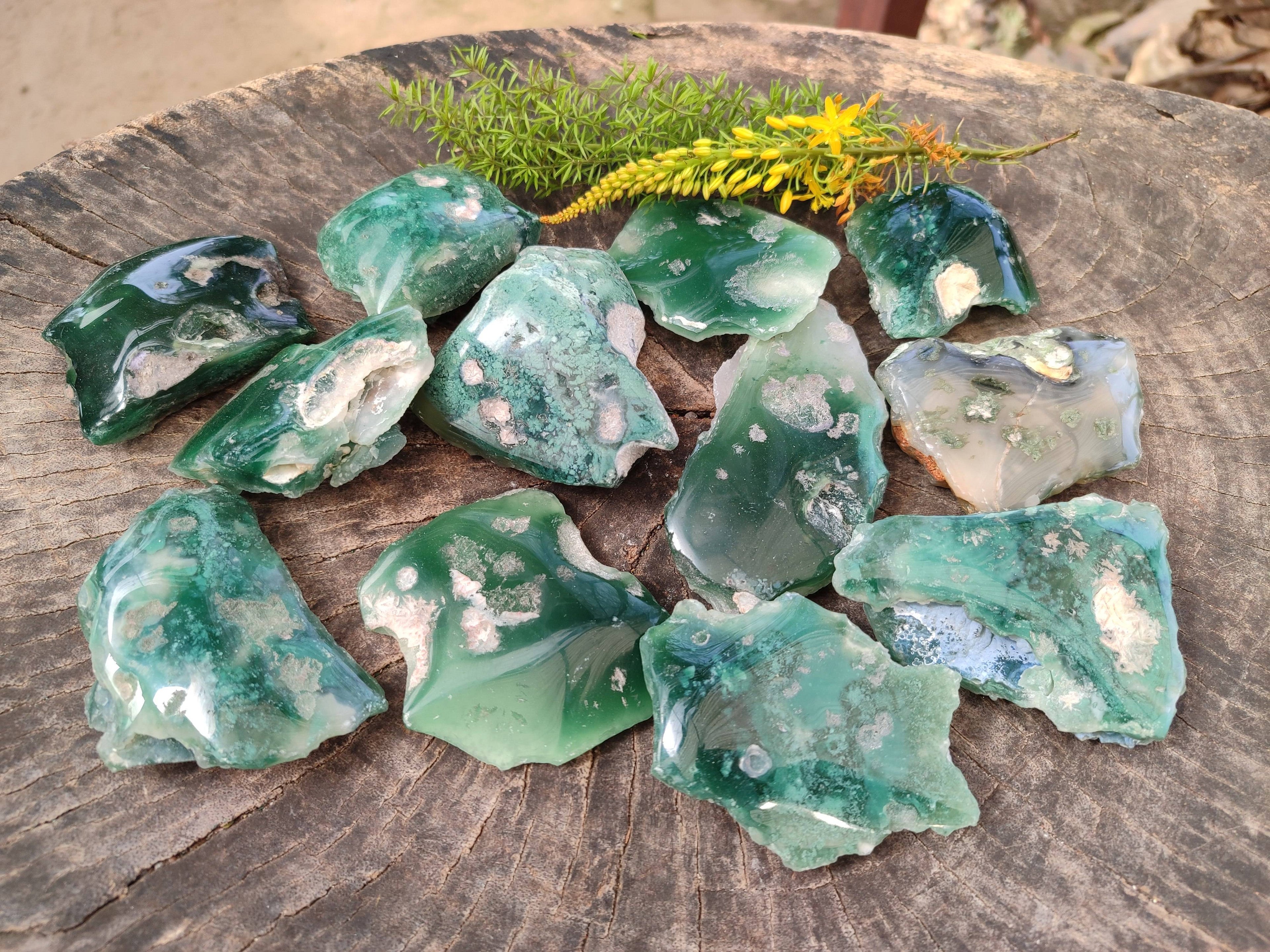 Polished On One Side Emerald Mtorolite x 12 From Mutorashanga, Zimbabwe - Toprock Gemstones and Minerals 