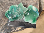 Polished On One Side Emerald Mtorolite x 12 From Mutorashanga, Zimbabwe - Toprock Gemstones and Minerals 