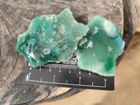 Polished On One Side Emerald Mtorolite x 12 From Mutorashanga, Zimbabwe