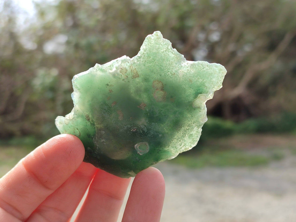 Polished On One Side Emerald Mtorolite x 12 From Mutorashanga, Zimbabwe - Toprock Gemstones and Minerals 