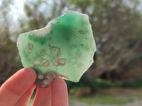 Polished On One Side Emerald Mtorolite x 12 From Mutorashanga, Zimbabwe