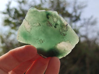 Polished On One Side Emerald Mtorolite x 12 From Mutorashanga, Zimbabwe