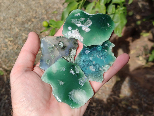 Polished On One Side Emerald Mtorolite x 12 From Mutorashanga, Zimbabwe