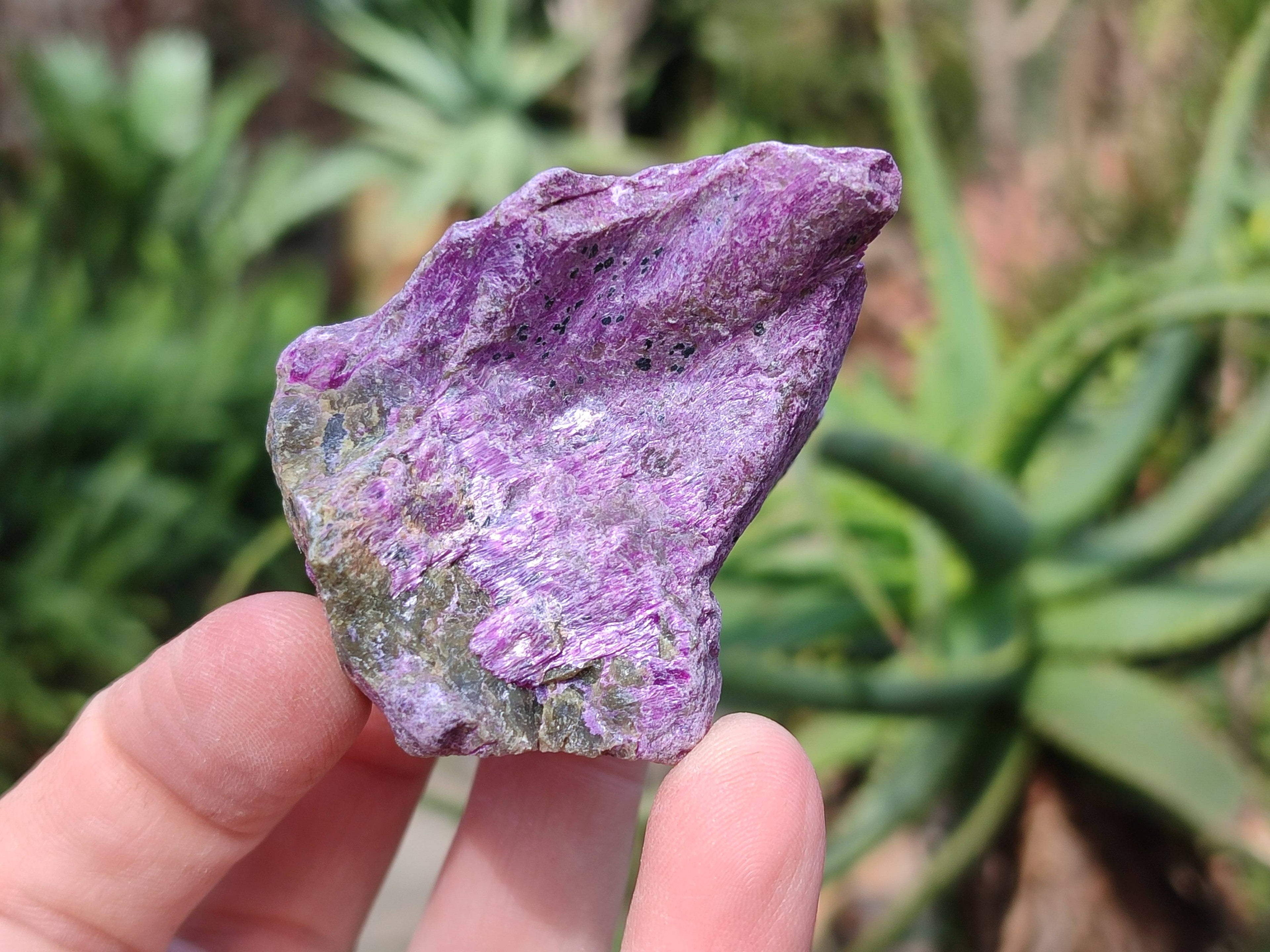 Natural Stichtite Specimens x 35 From Barberton, South Africa - Toprock Gemstones and Minerals 