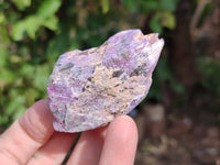 Natural Stichtite Specimens x 35 From Barberton, South Africa - Toprock Gemstones and Minerals 
