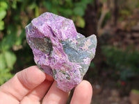 Natural Stichtite Specimens x 35 From Barberton, South Africa - Toprock Gemstones and Minerals 