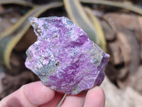 Natural Stichtite Specimens x 35 From Barberton, South Africa - Toprock Gemstones and Minerals 