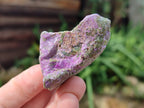Natural Stichtite Specimens x 35 From Barberton, South Africa - Toprock Gemstones and Minerals 