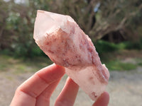 Natural Pink Hematoid Candle Quartz Crystals x 6 From Madagascar