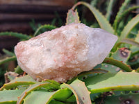 Natural Pink Hematoid Candle Quartz Crystals x 6 From Madagascar