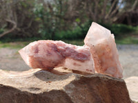 Natural Pink Hematoid Candle Quartz Crystals x 6 From Madagascar