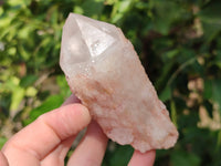 Natural Pink Hematoid Candle Quartz Crystals x 6 From Madagascar