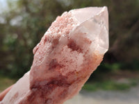 Natural Pink Hematoid Candle Quartz Crystals x 6 From Madagascar