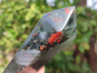 Polished Double Terminated Bloodstone Points x 10 From Swaziland