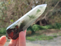 Polished Double Terminated Bloodstone Points x 10 From Swaziland