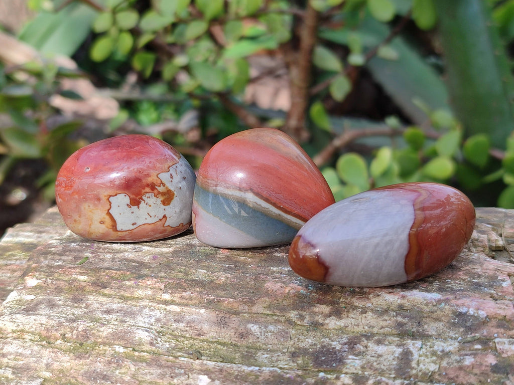 Polished Polychrome Jasper Palm Stones x 35 From Madagascar - Toprock Gemstones and Minerals 