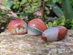 Polished Polychrome Jasper Palm Stones x 35 From Madagascar - Toprock Gemstones and Minerals 