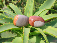 Polished Polychrome Jasper Palm Stones x 35 From Madagascar