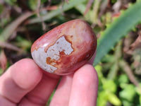 Polished Polychrome Jasper Palm Stones x 35 From Madagascar