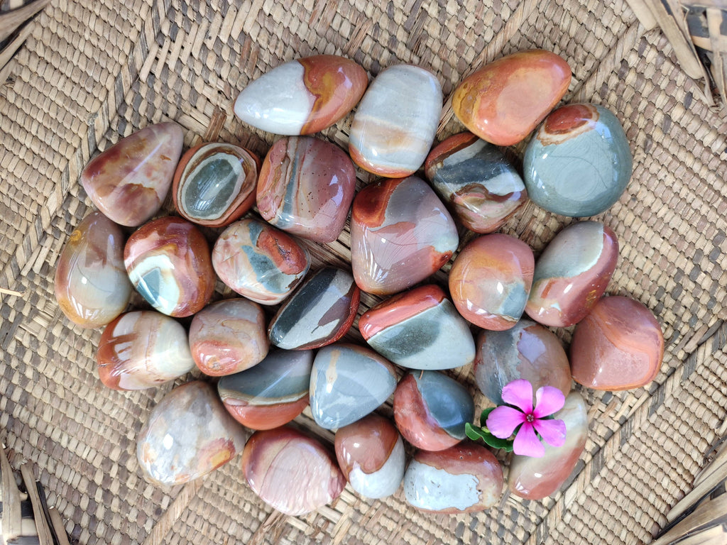 Polished Polychrome Jasper Palm Stones x 35 From Madagascar - Toprock Gemstones and Minerals 