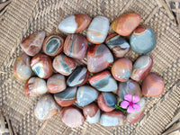 Polished Polychrome Jasper Palm Stones x 35 From Madagascar