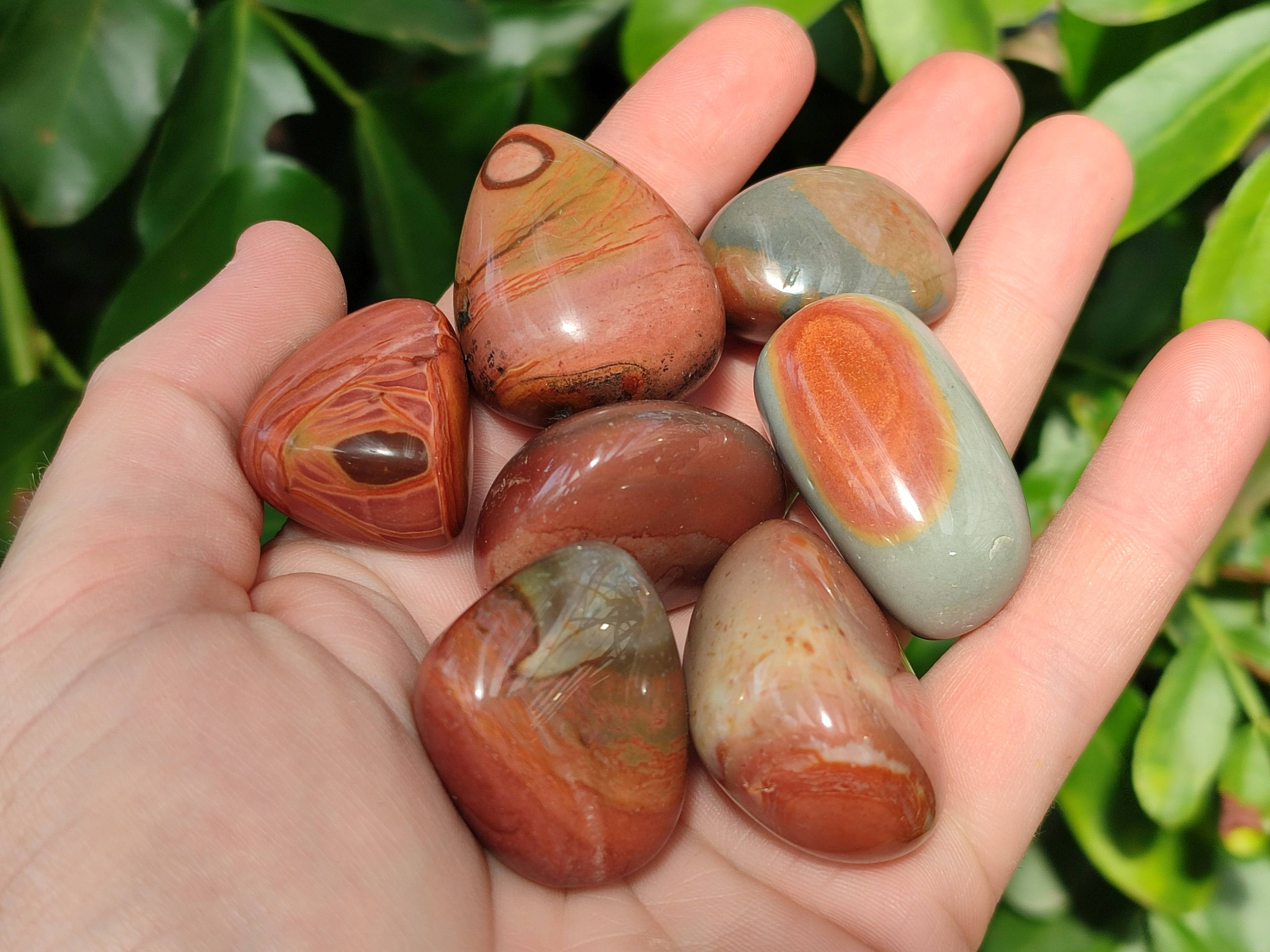 Polished Polychrome Jasper Palm Stones x 35 From Madagascar - Toprock Gemstones and Minerals 