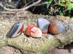 Polished Polychrome Jasper Palm Stones x 35 From Madagascar - Toprock Gemstones and Minerals 