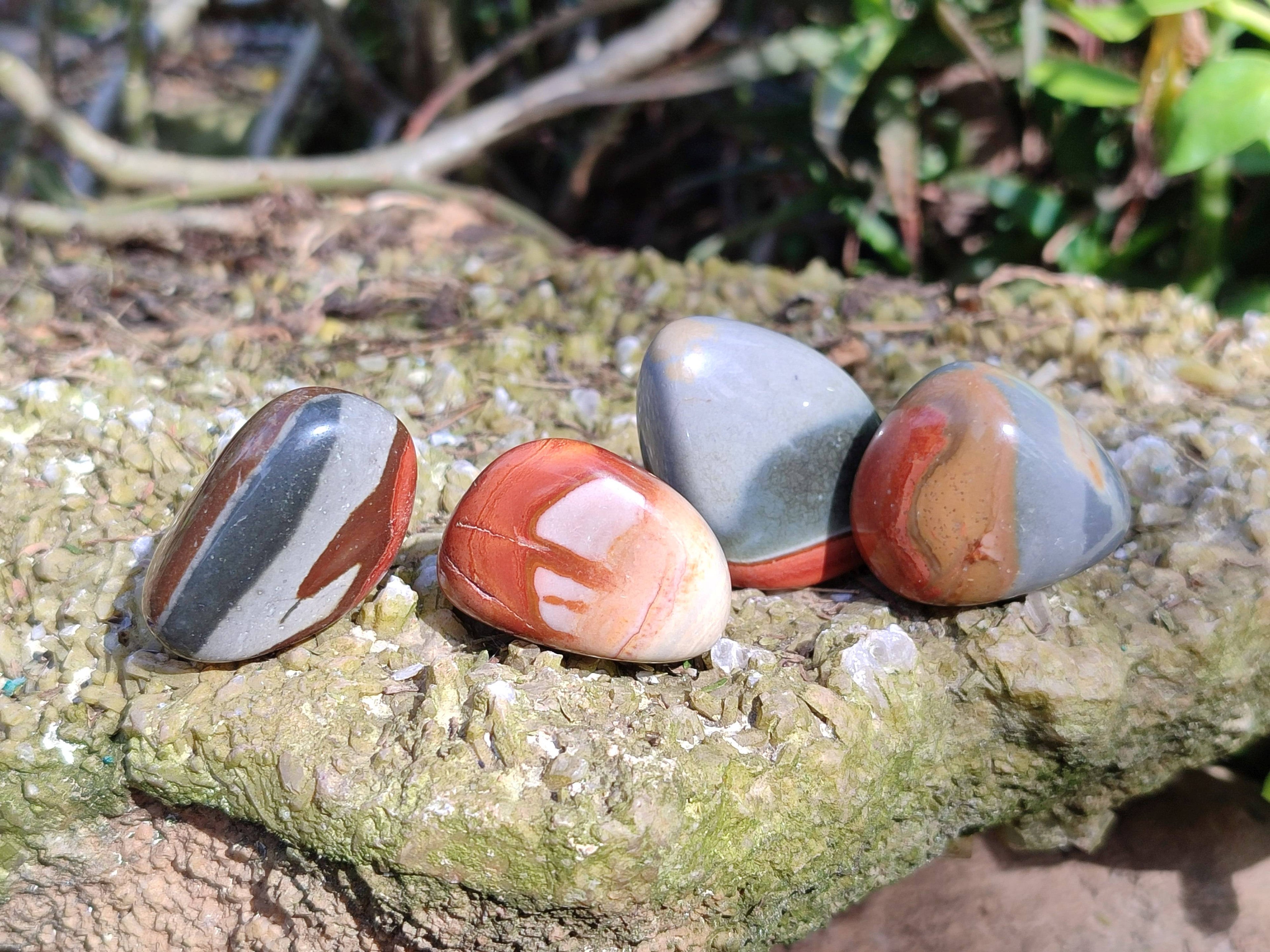 Polished Polychrome Jasper Palm Stones x 35 From Madagascar - Toprock Gemstones and Minerals 