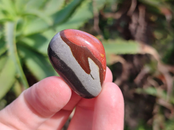Polished Polychrome Jasper Palm Stones x 35 From Madagascar