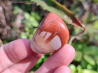 Polished Polychrome Jasper Palm Stones x 35 From Madagascar