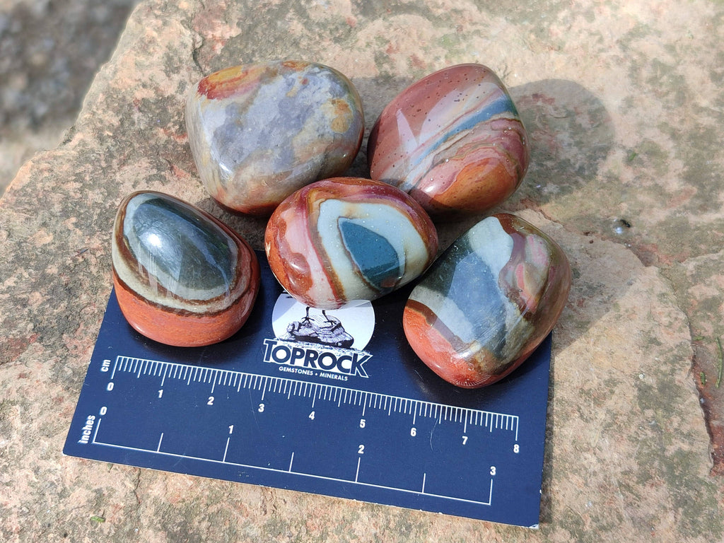 Polished Polychrome Jasper Palm Stones x 35 From Madagascar - Toprock Gemstones and Minerals 
