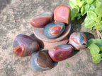 Polished Polychrome Jasper Palm Stones x 35 From Madagascar - Toprock Gemstones and Minerals 