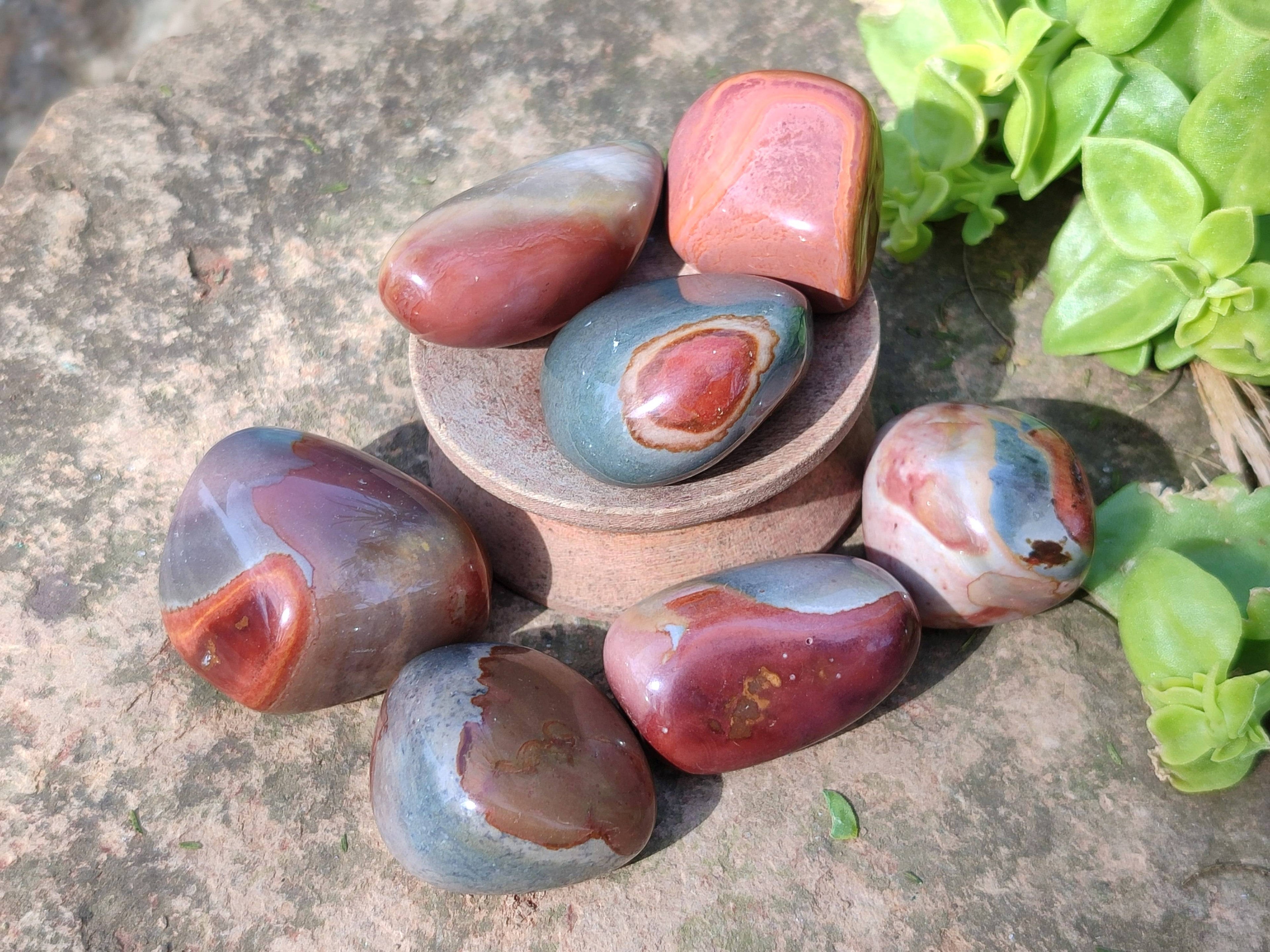 Polished Polychrome Jasper Palm Stones x 35 From Madagascar - Toprock Gemstones and Minerals 