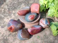Polished Polychrome Jasper Palm Stones x 35 From Madagascar