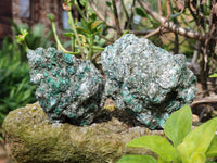 Natural Emerald Mica 'Mutokolite' Specimens x 6 From Mutoko, Zimbabwe