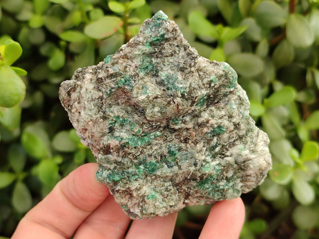 Natural Emerald Mica 'Mutokolite' Specimens x 6 From Mutoko, Zimbabwe - Toprock Gemstones and Minerals 