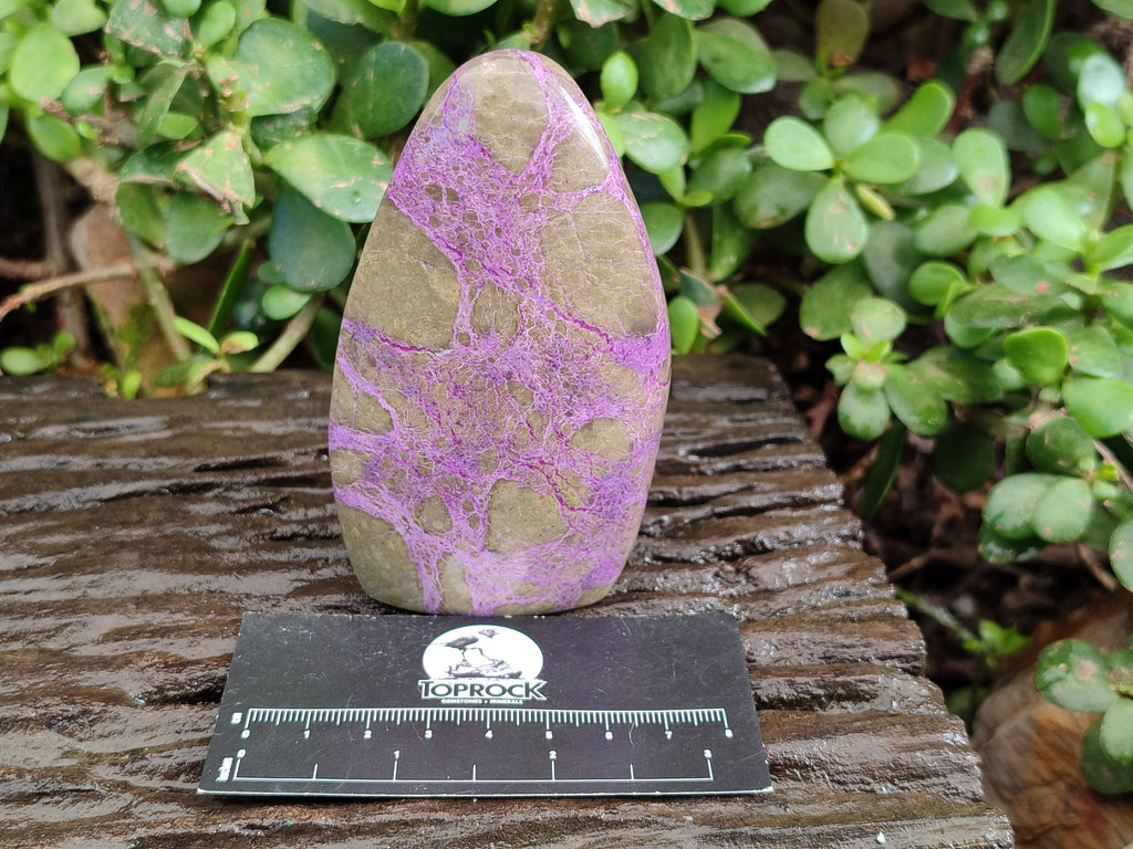 Polished Stichtite Free Forms x 3 From Barberton, South Africa - Toprock Gemstones and Minerals 