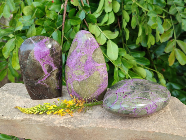 Polished Stichtite Free Forms x 3 From Barberton, South Africa