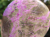 Polished Stichtite Free Forms x 3 From Barberton, South Africa