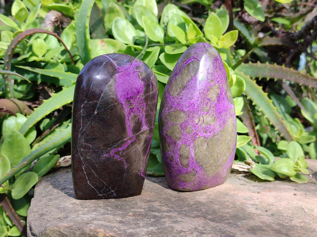 Polished Stichtite Free Forms x 3 From Barberton, South Africa - Toprock Gemstones and Minerals 