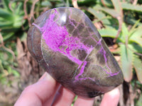 Polished Stichtite Free Forms x 3 From Barberton, South Africa