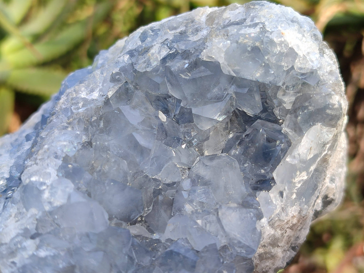 Natural Celestite Geode Specimen x 1 From Sakoany, Madagascar - Toprock Gemstones and Minerals 