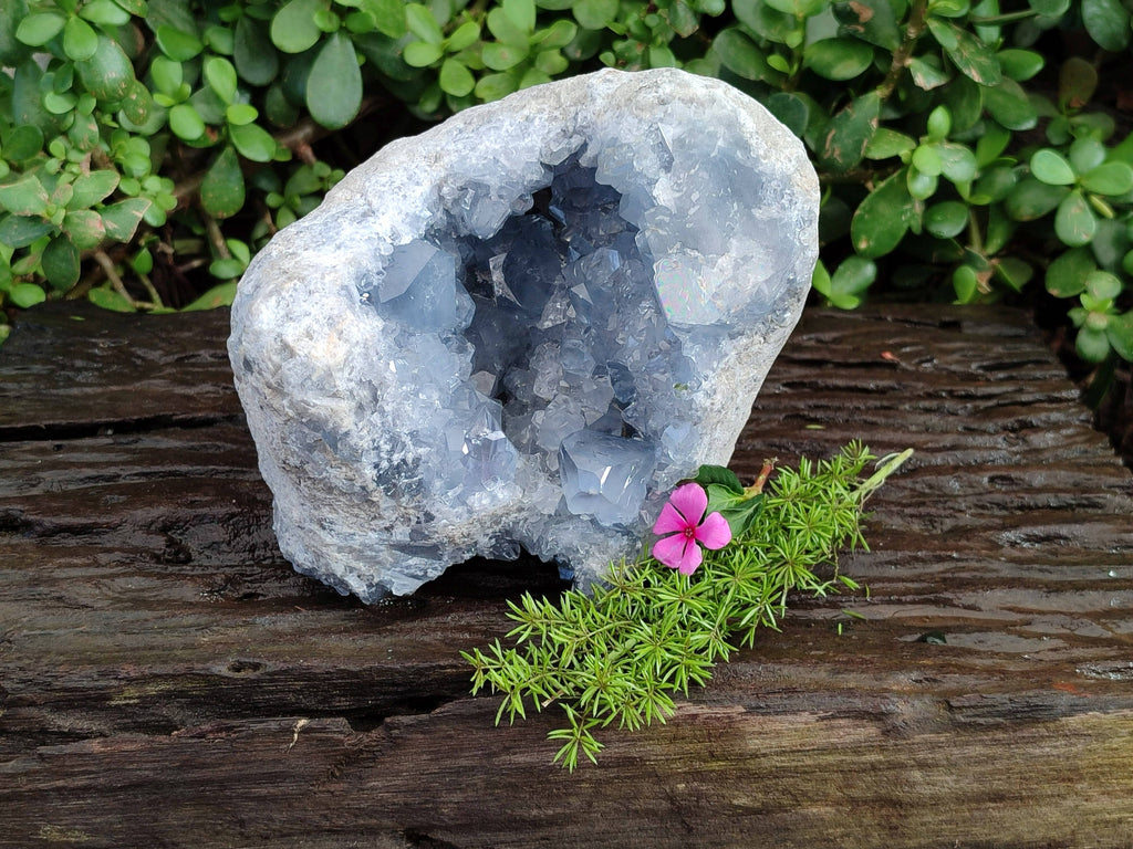 Natural Celestite Geode Specimen x 1 From Sakoany, Madagascar - Toprock Gemstones and Minerals 