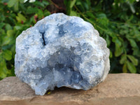 Natural Celestite Geode Specimen x 1 From Sakoany, Madagascar